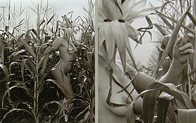 Corn Goddess by Stephen Collector [click for full image]